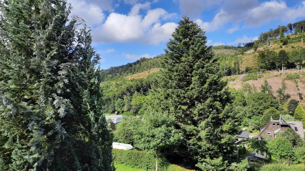 Yalet Ferienhaus 2 Appartementen Vlakbij Willingen Brilon-Wald Екстер'єр фото